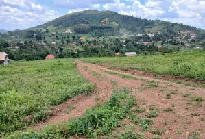 Prime Plots for Sale at Wakiso~Kaliiti Modern Hill View Estat~Hoima Rd