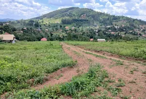 Prime Plots for Sale at Wakiso~Kaliiti Modern Hill View Estat~Hoima Rd