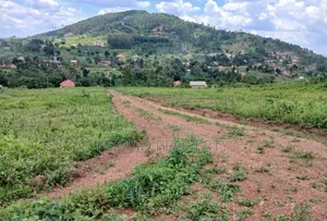 Prime Plots for Sale at Wakiso~Kaliiti Modern Hill View Estat~Hoima Rd