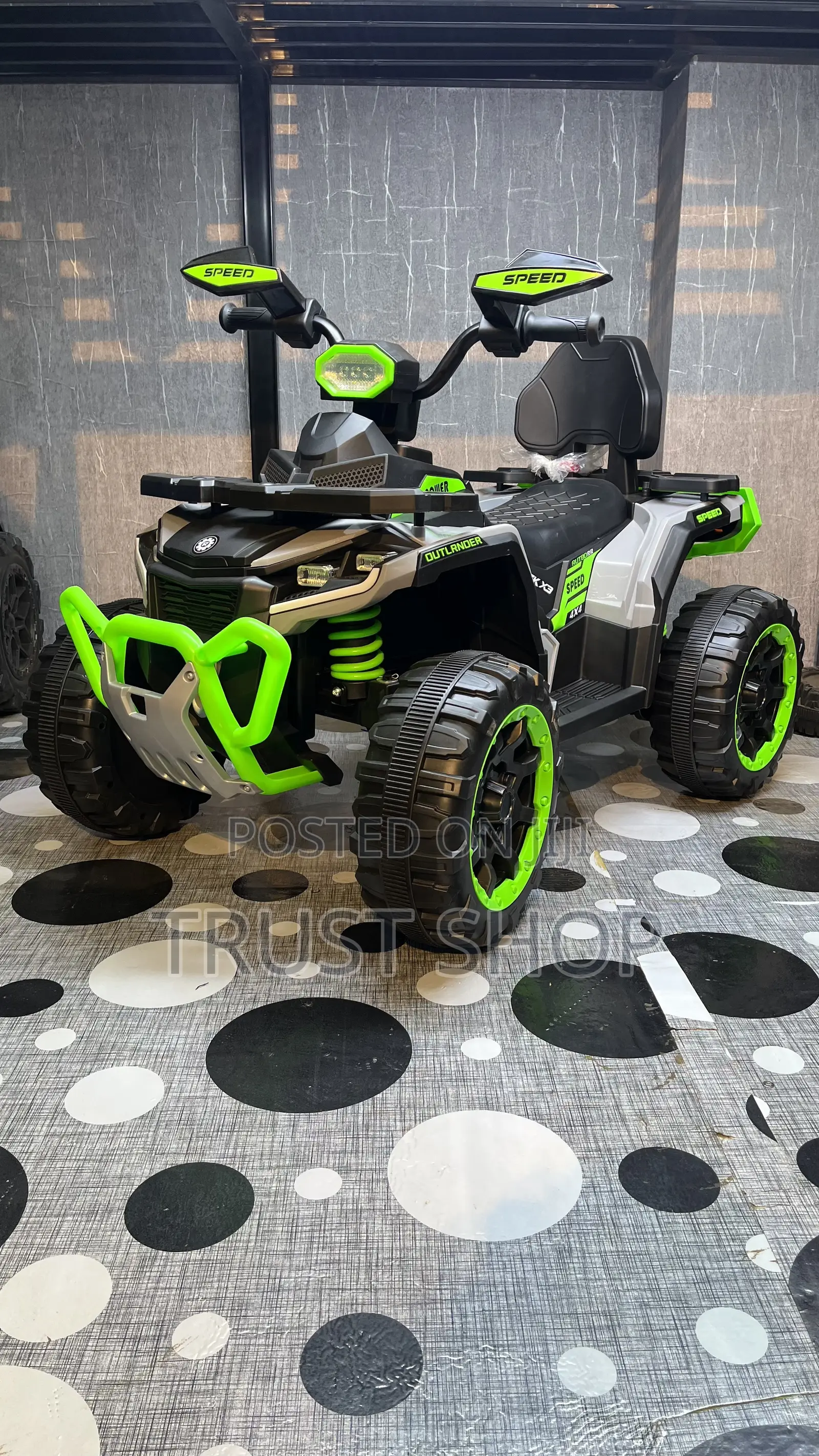 Green Qaudic Electric Bike