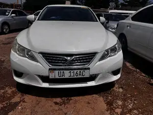Toyota Mark X 2010 White