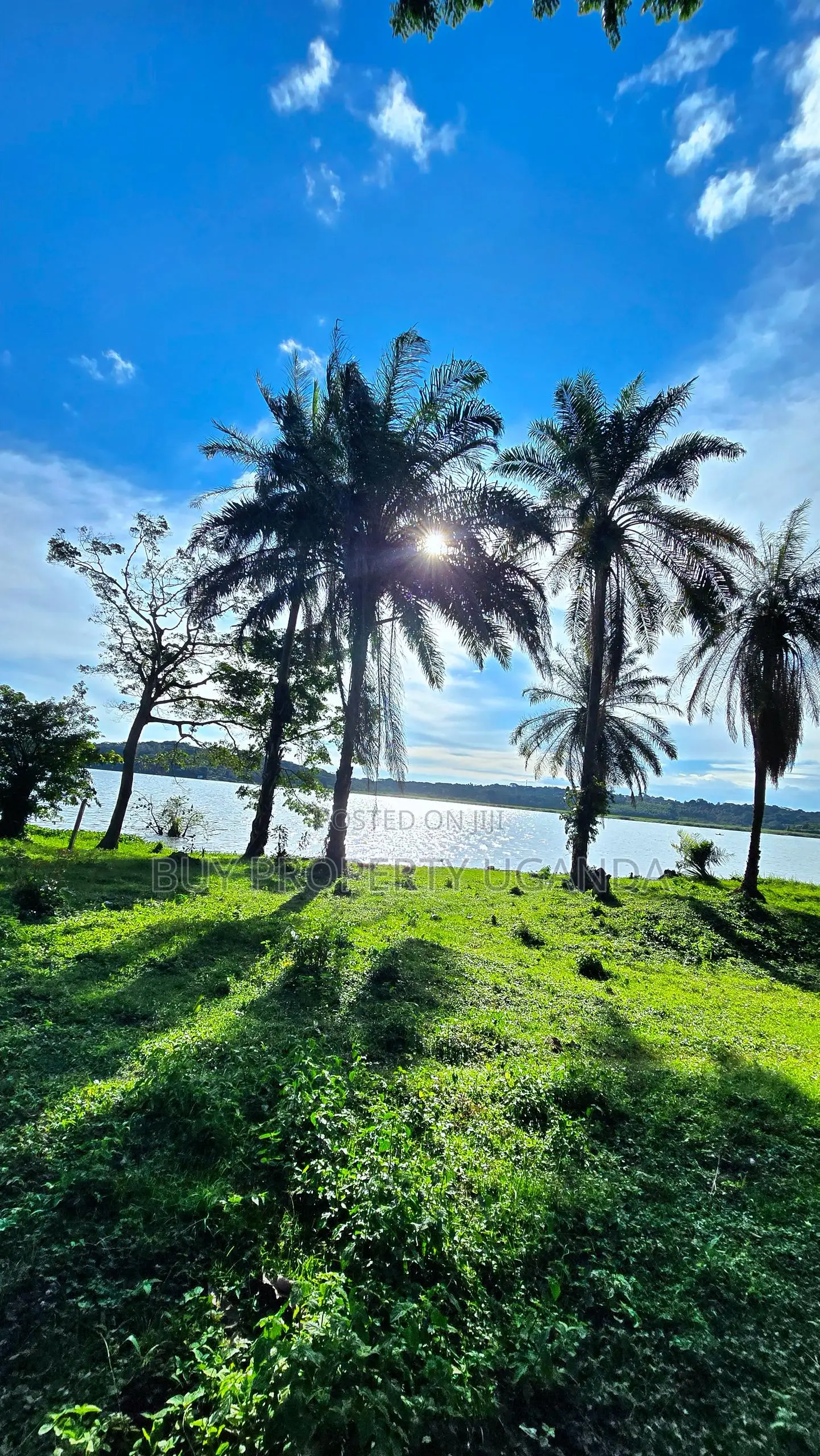 Beach Land for Sale in Entebbe (1 Acre)