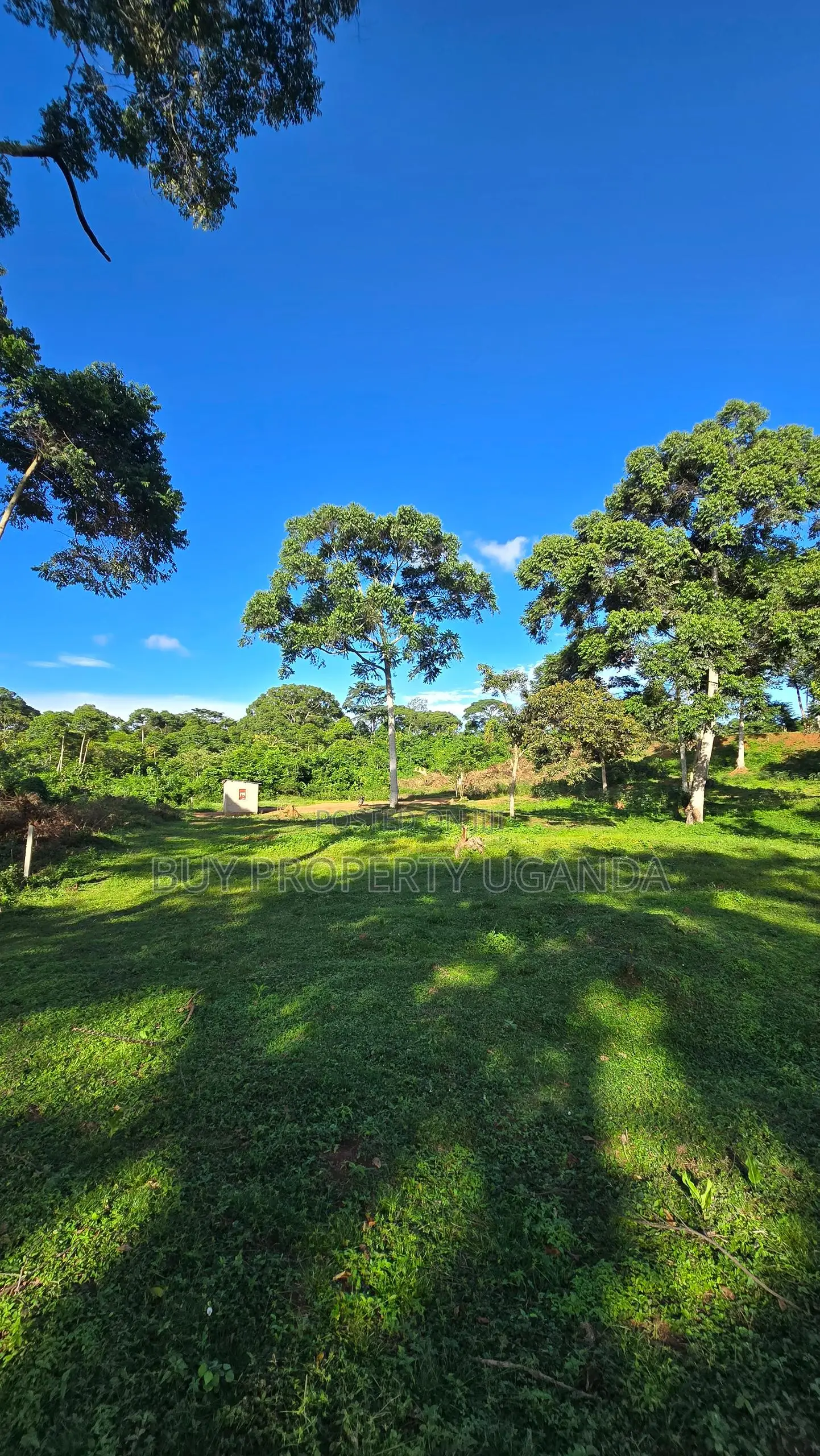 Beach Land for Sale in Entebbe (1 Acre)