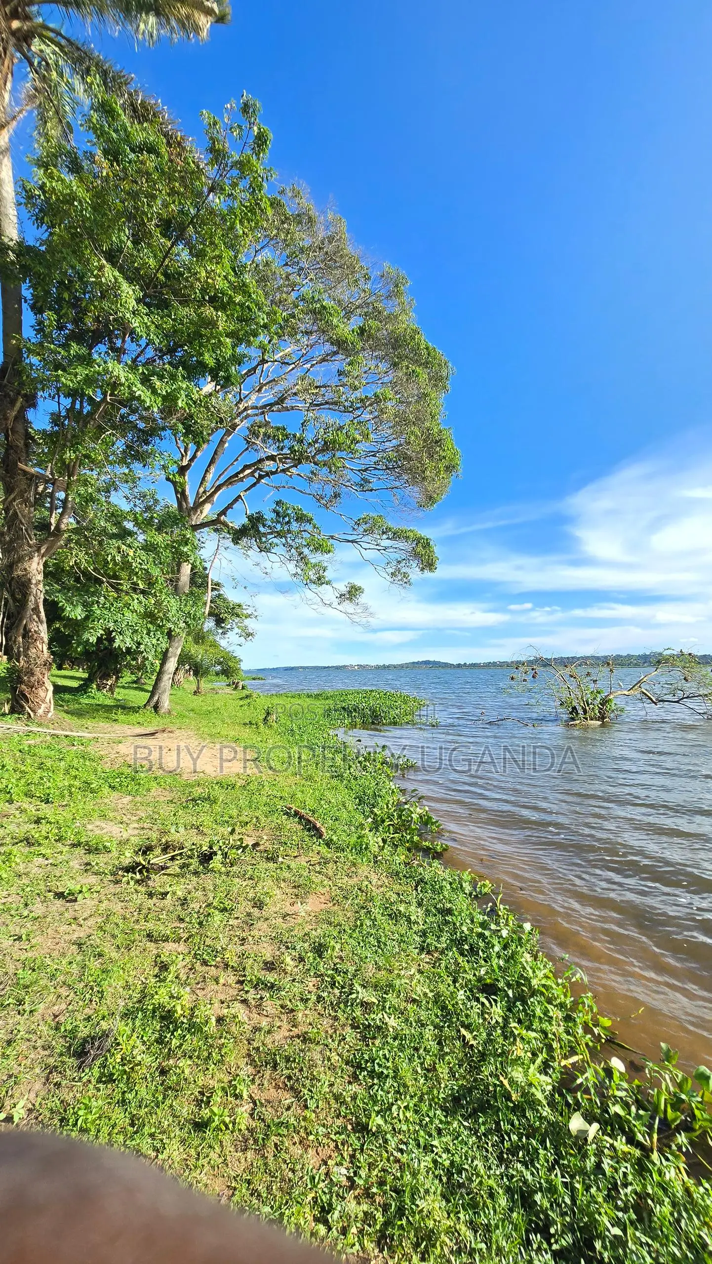 Beach Land for Sale in Entebbe (1 Acre)