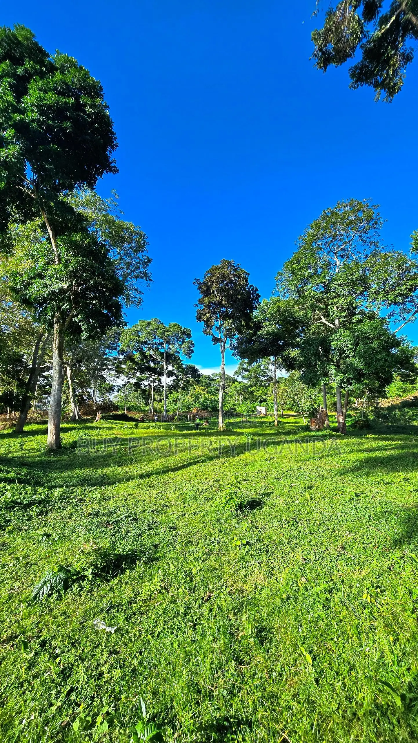 Beach Land for Sale in Entebbe (1 Acre)