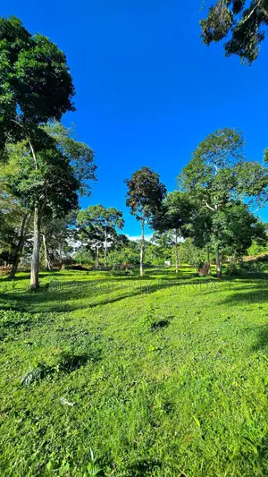 Beach Land for Sale in Entebbe (1 Acre)