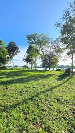 Beach Land for Sale in Entebbe (1 Acre)
