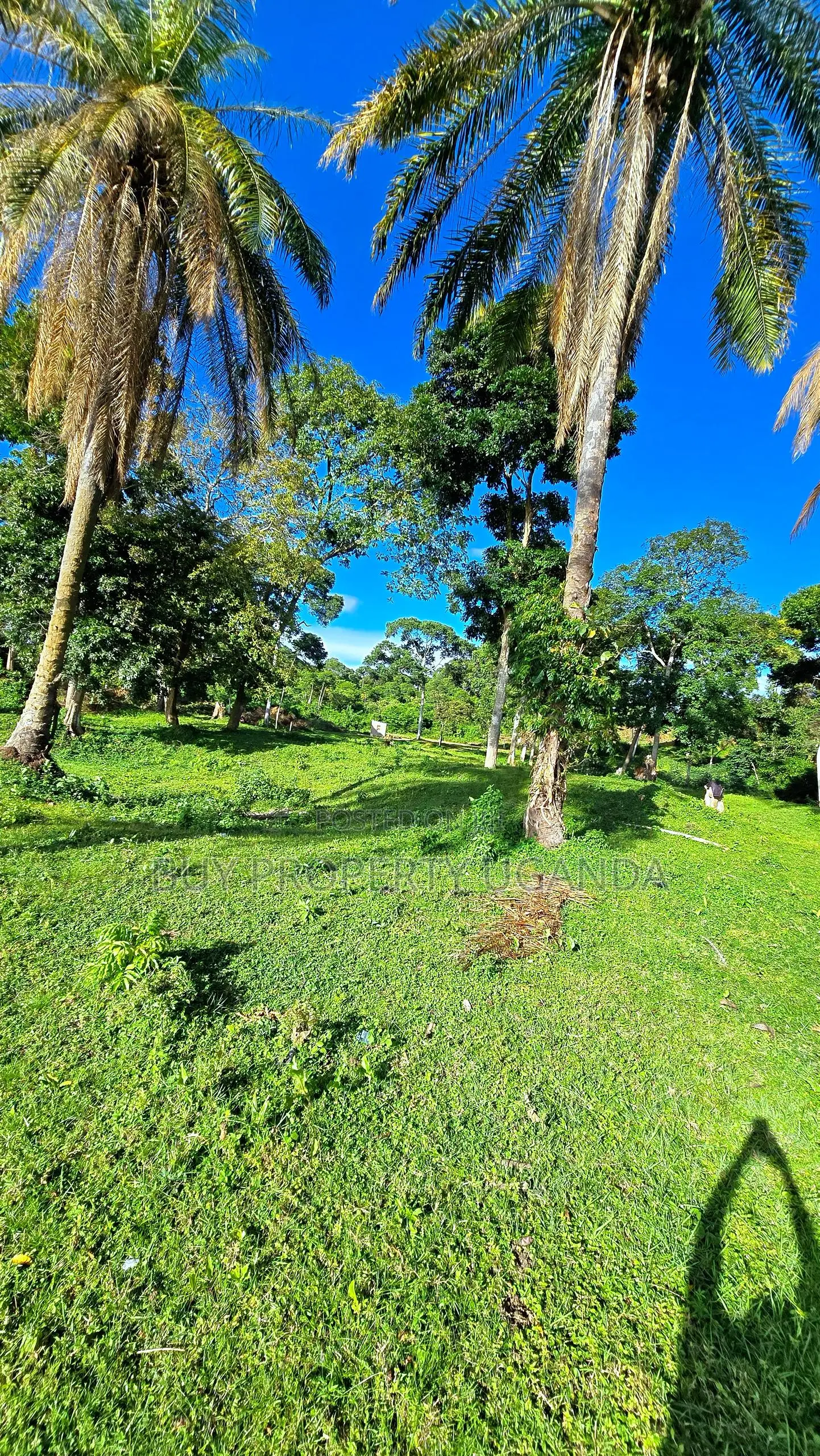 Beach Land for Sale in Entebbe (1 Acre)