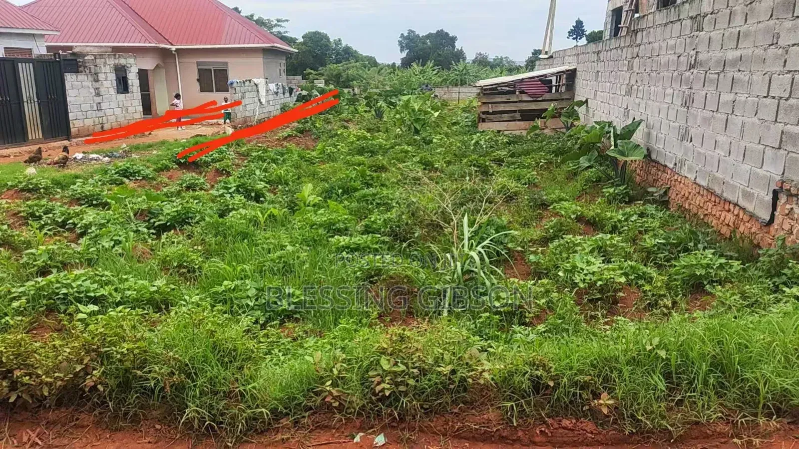 Busabala Plot Near Musician David