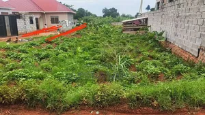 Busabala Plot Near Musician David