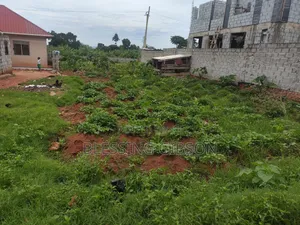 Busabala Plot Near Musician David