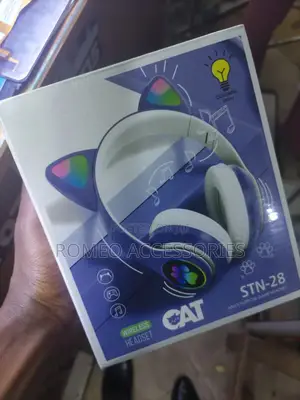 Cat Ear Headphones