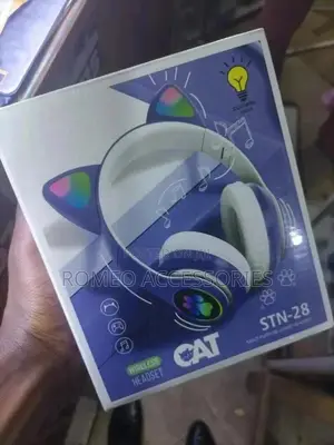 Cat Ear Headphones