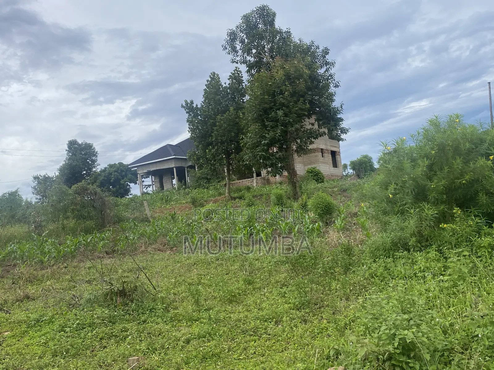 5bdrm House in Jimko Estate, Busukuma for sale