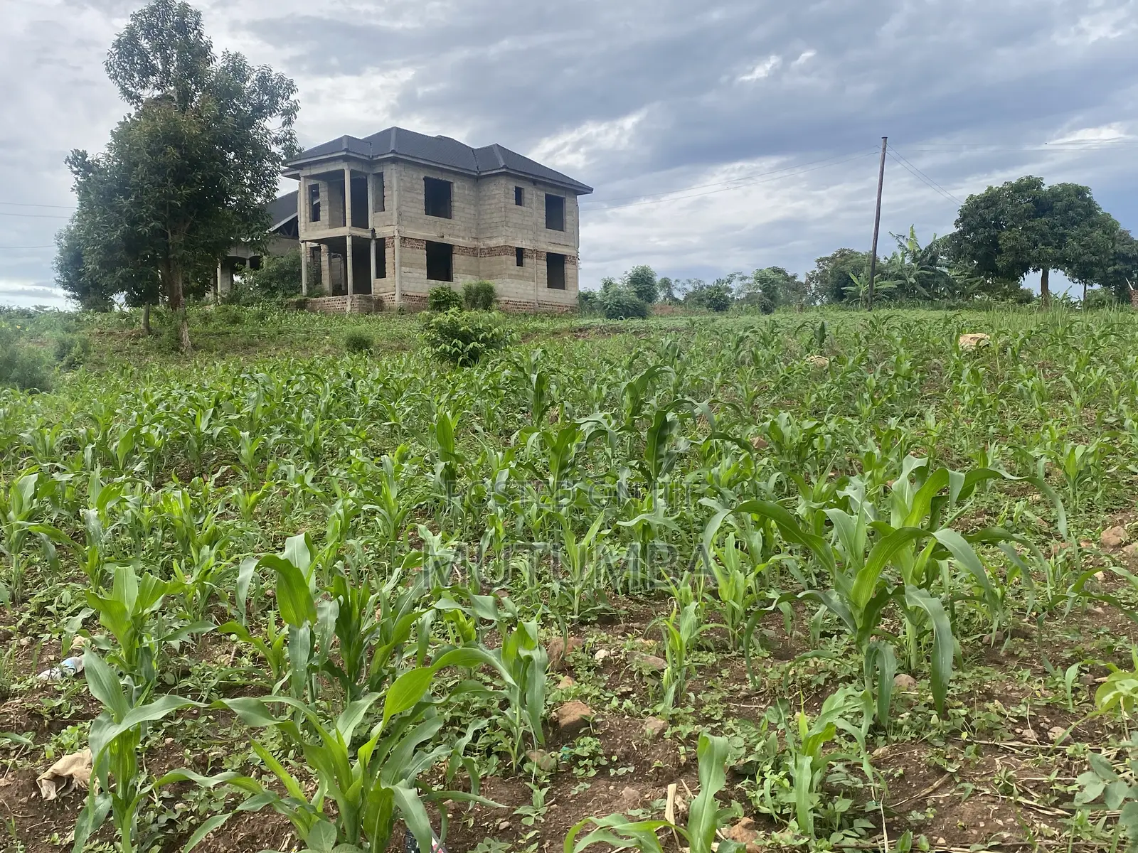5bdrm House in Jimko Estate, Busukuma for sale