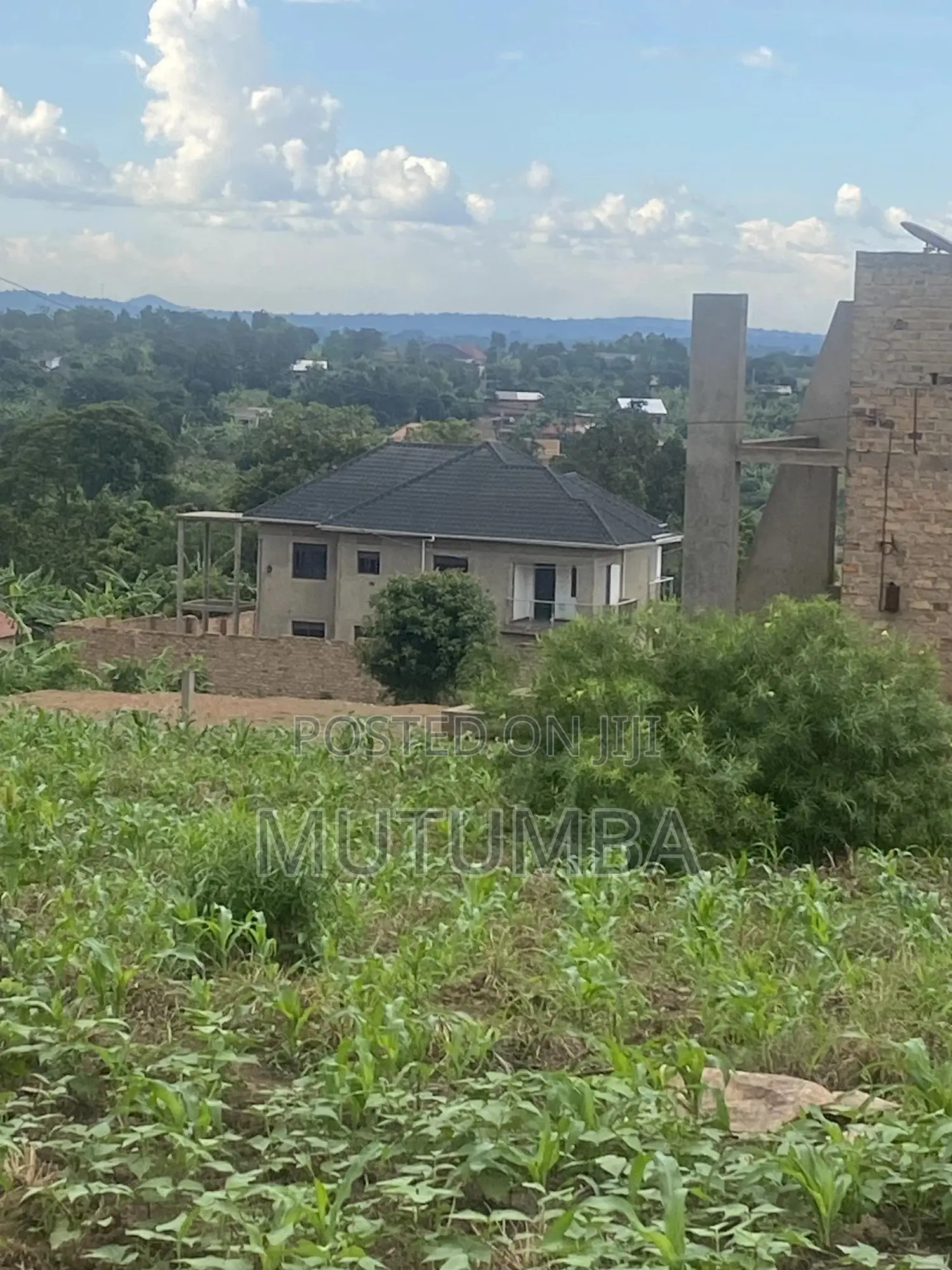 5bdrm House in Jimko Estate, Busukuma for sale