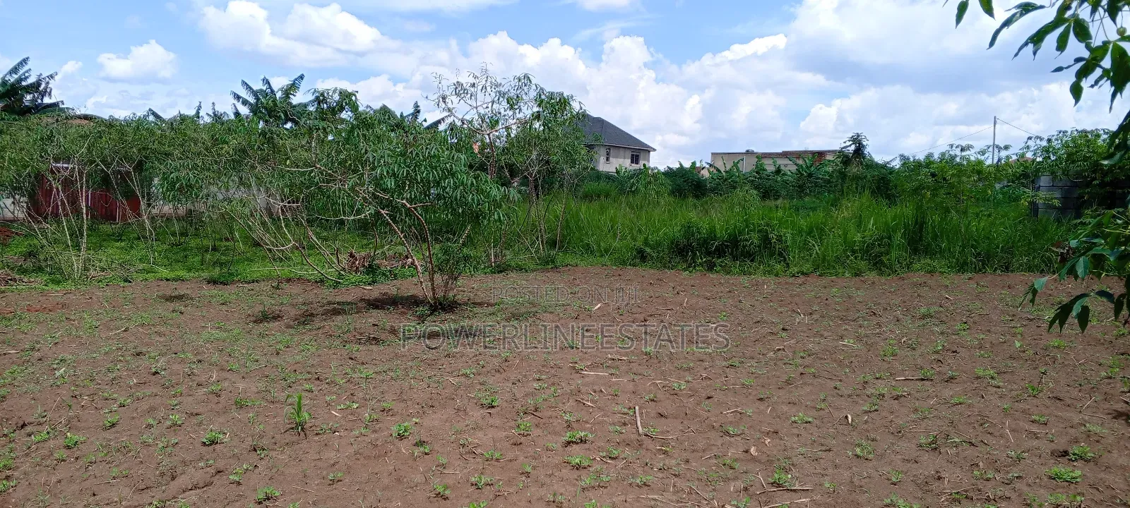 Matuga -Kigogwa Estates Near Utamu University.