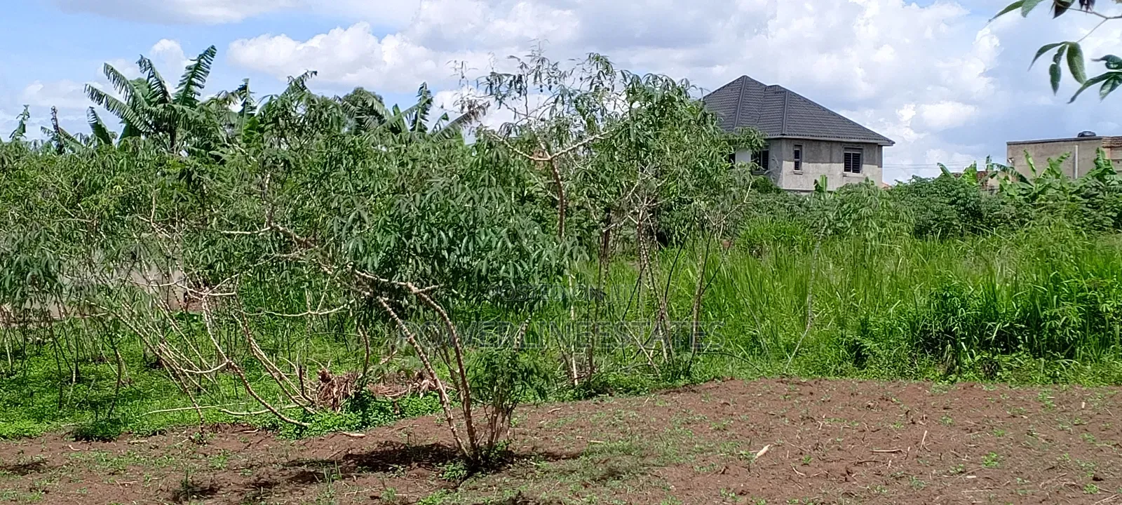 Matuga -Kigogwa Estates Near Utamu University.