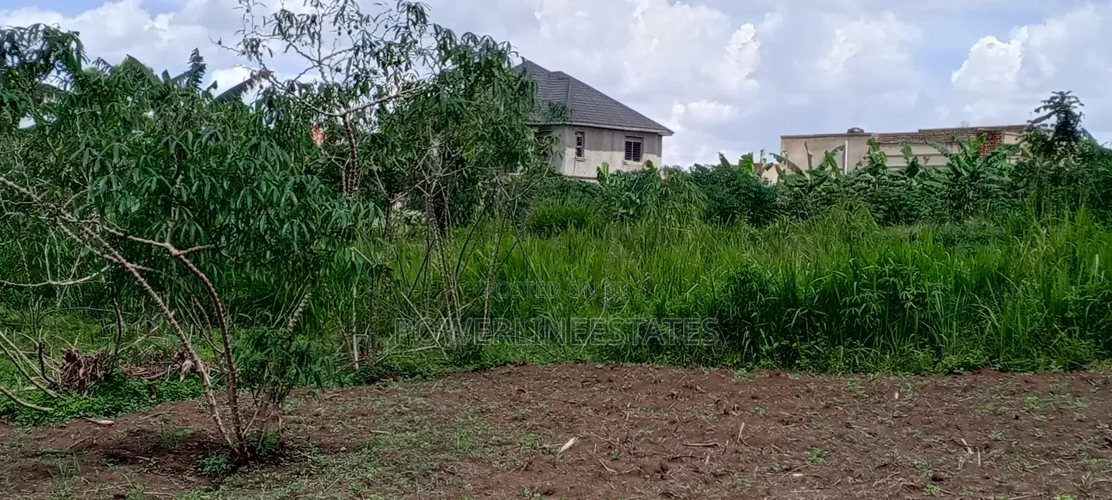 Matuga -Kigogwa Estates Near Utamu University.