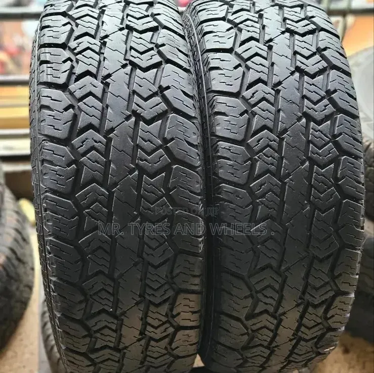 31×10.50r15 Doublestar Wild Wolf Order Now We Deliver Now.