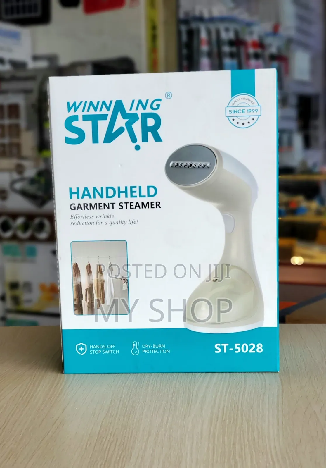 Mini Garment Steamer Winning Star