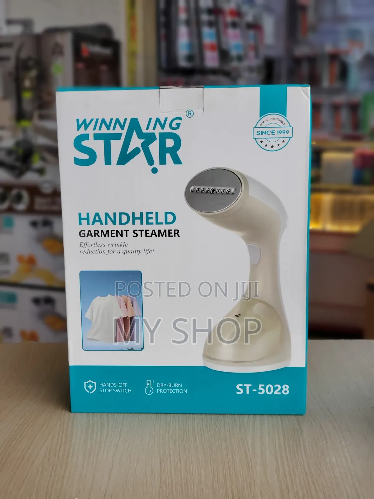 Mini Garment Steamer Winning Star