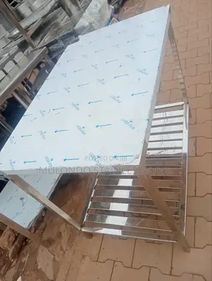 Stainless Steel Table Double Tray