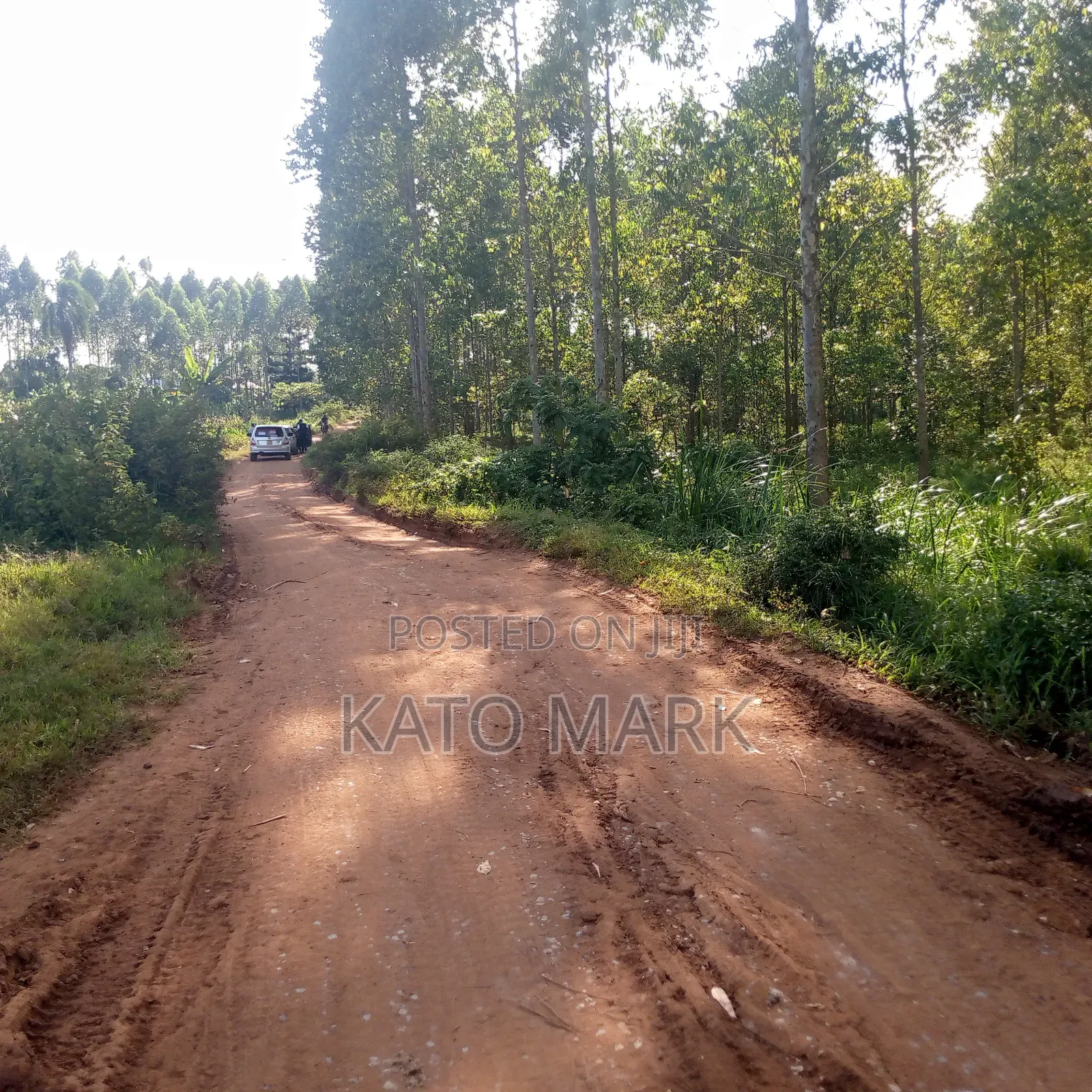 12 Acres for Sale Located at Mukono Mbalala