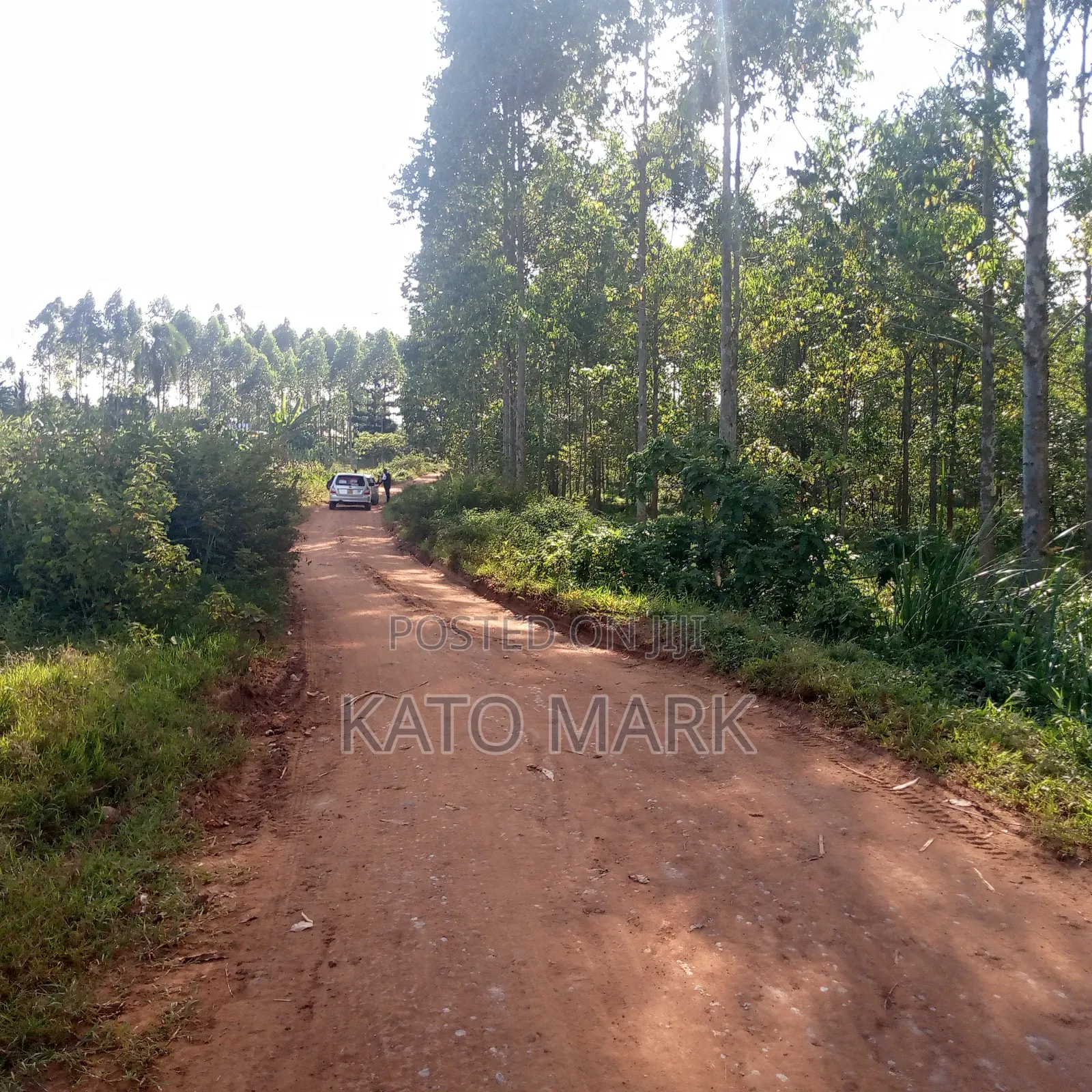 12 Acres for Sale Located at Mukono Mbalala
