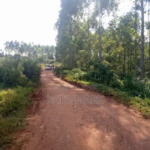 12 Acres for Sale Located at Mukono Mbalala