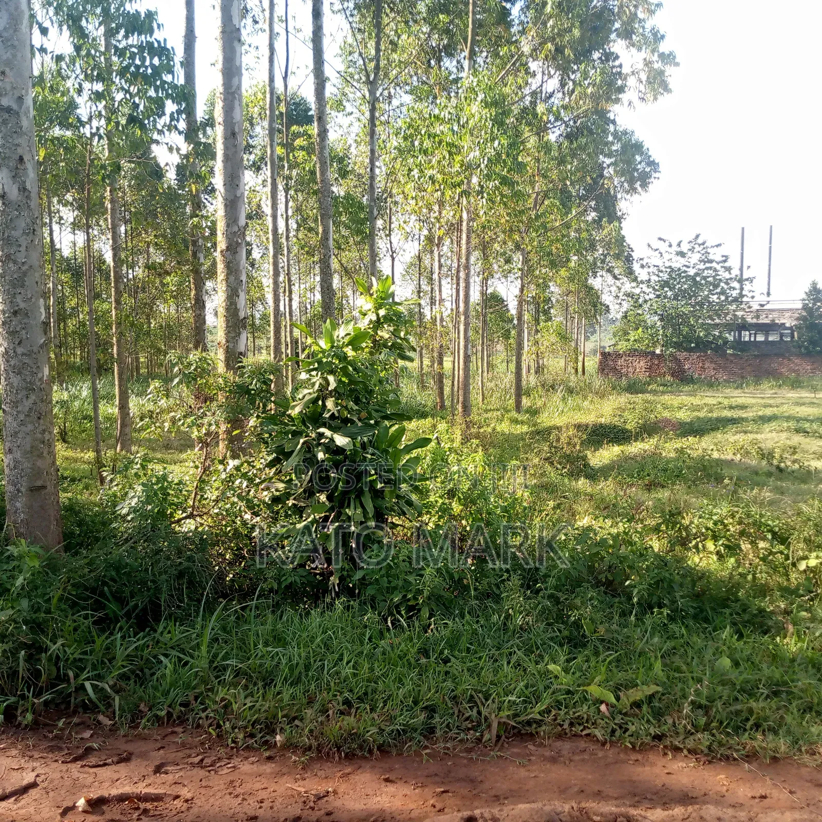 12 Acres for Sale Located at Mukono Mbalala