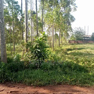 12 Acres for Sale Located at Mukono Mbalala