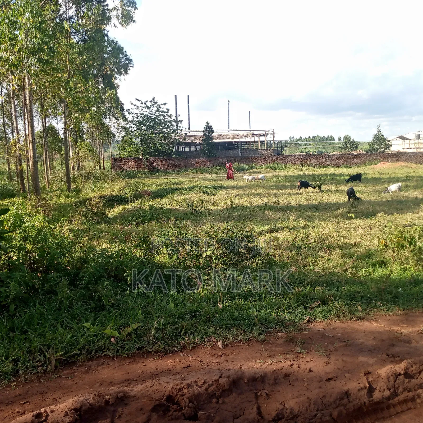12 Acres for Sale Located at Mukono Mbalala