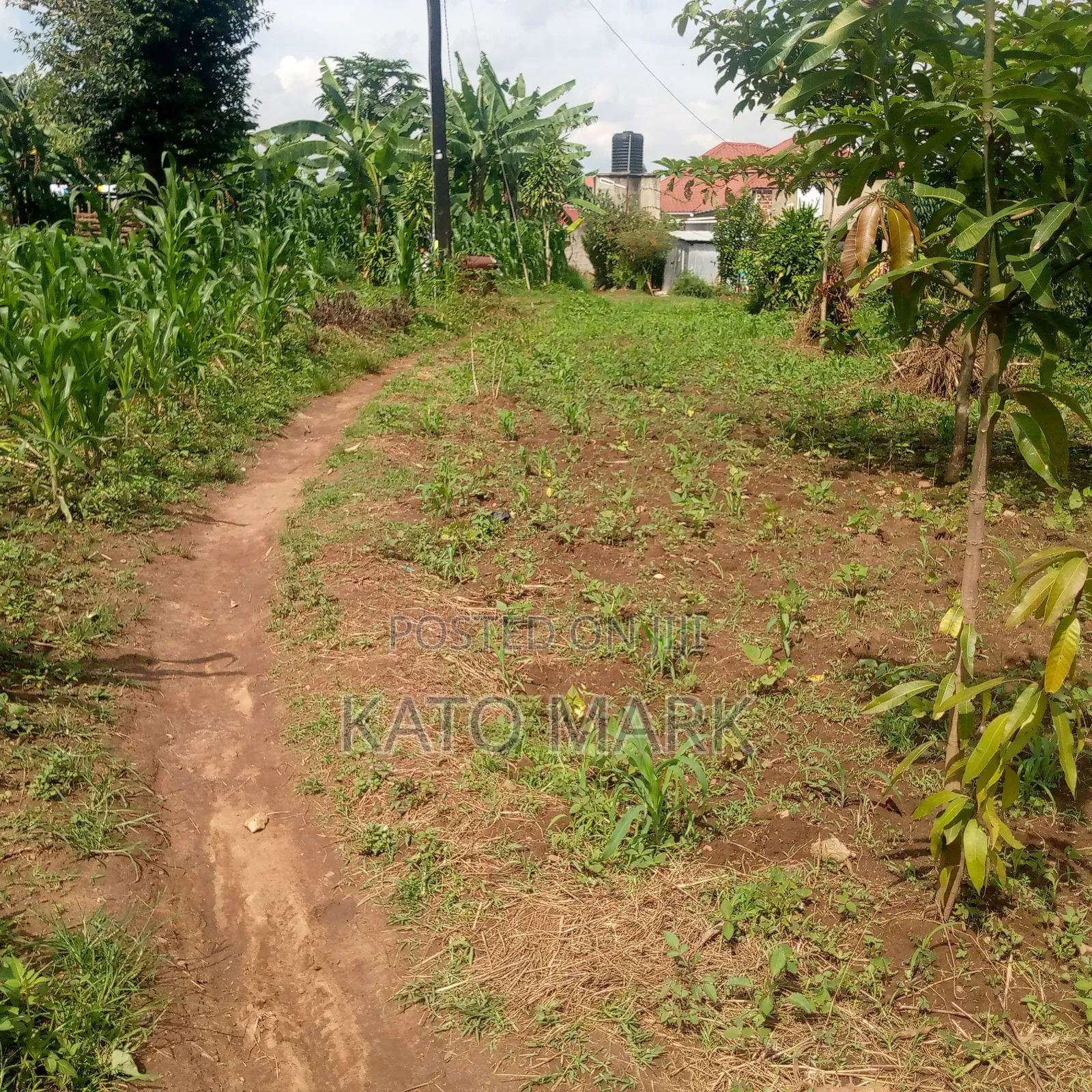 100ftby100ft Plot for Sale Located at Mukono Kabembe