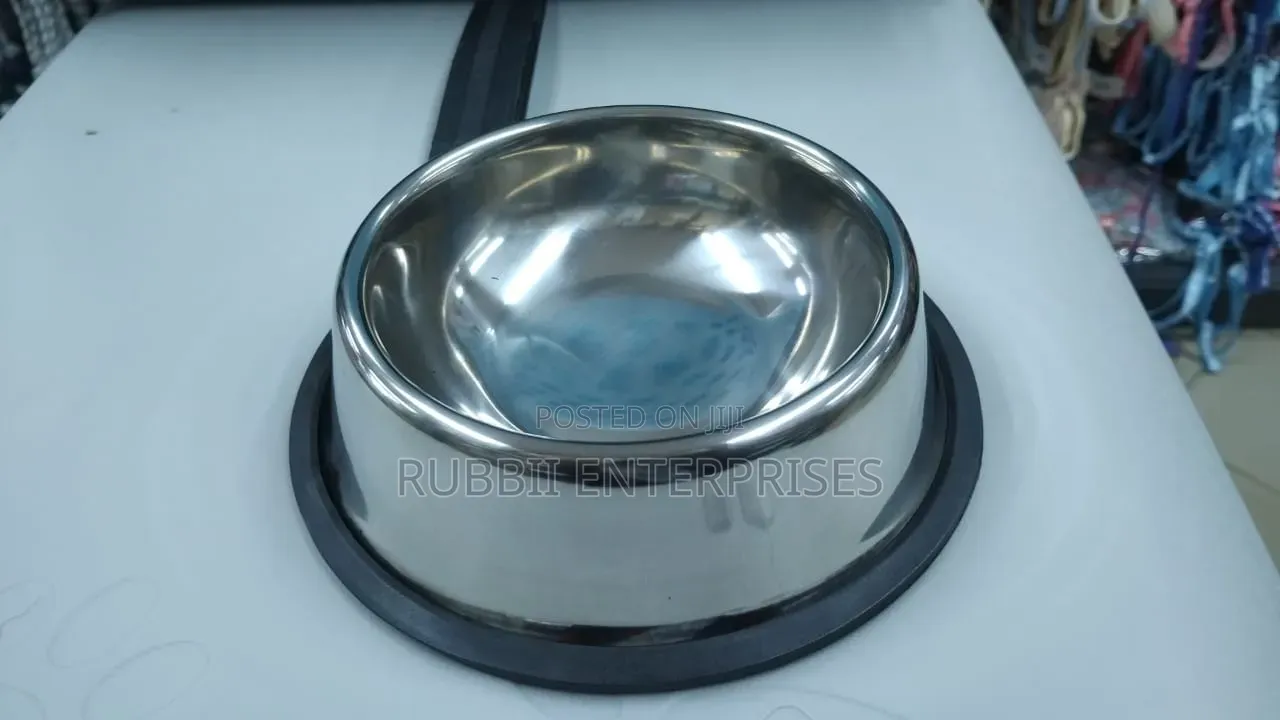 Pet Feeder ~ Single