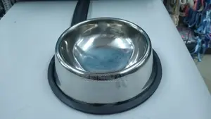 Pet Feeder ~ Single