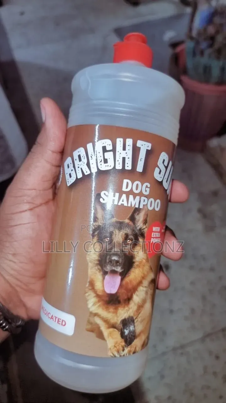 Night Sun Dog Shampoo