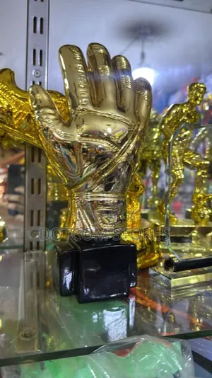 29 Golden Football Excellence Trophy