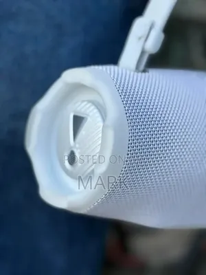 Charge 5 JBL Silver Crest Speaker