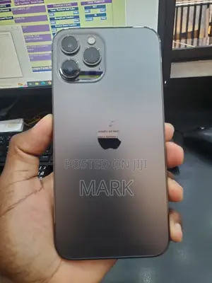Apple iPhone 12 Pro Max 128 GB Gray