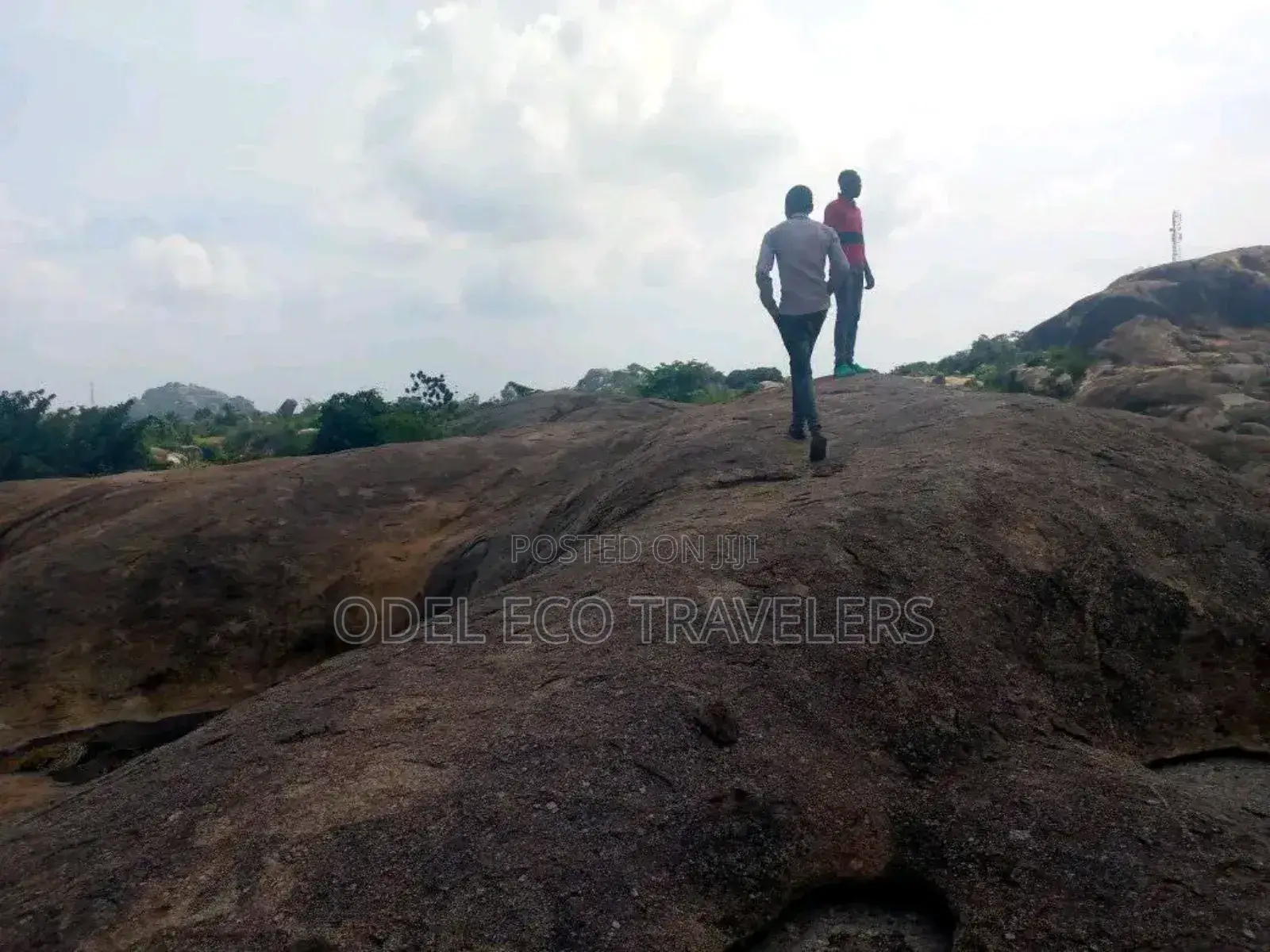 Odel Eco Travelers