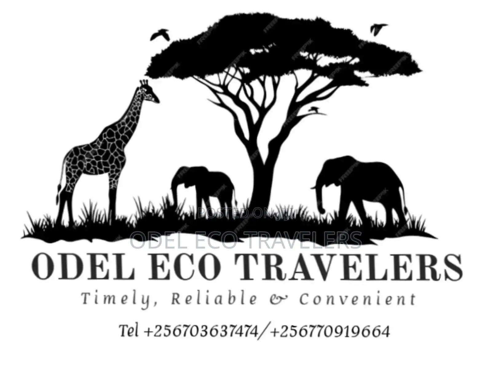 Odel Eco Travelers