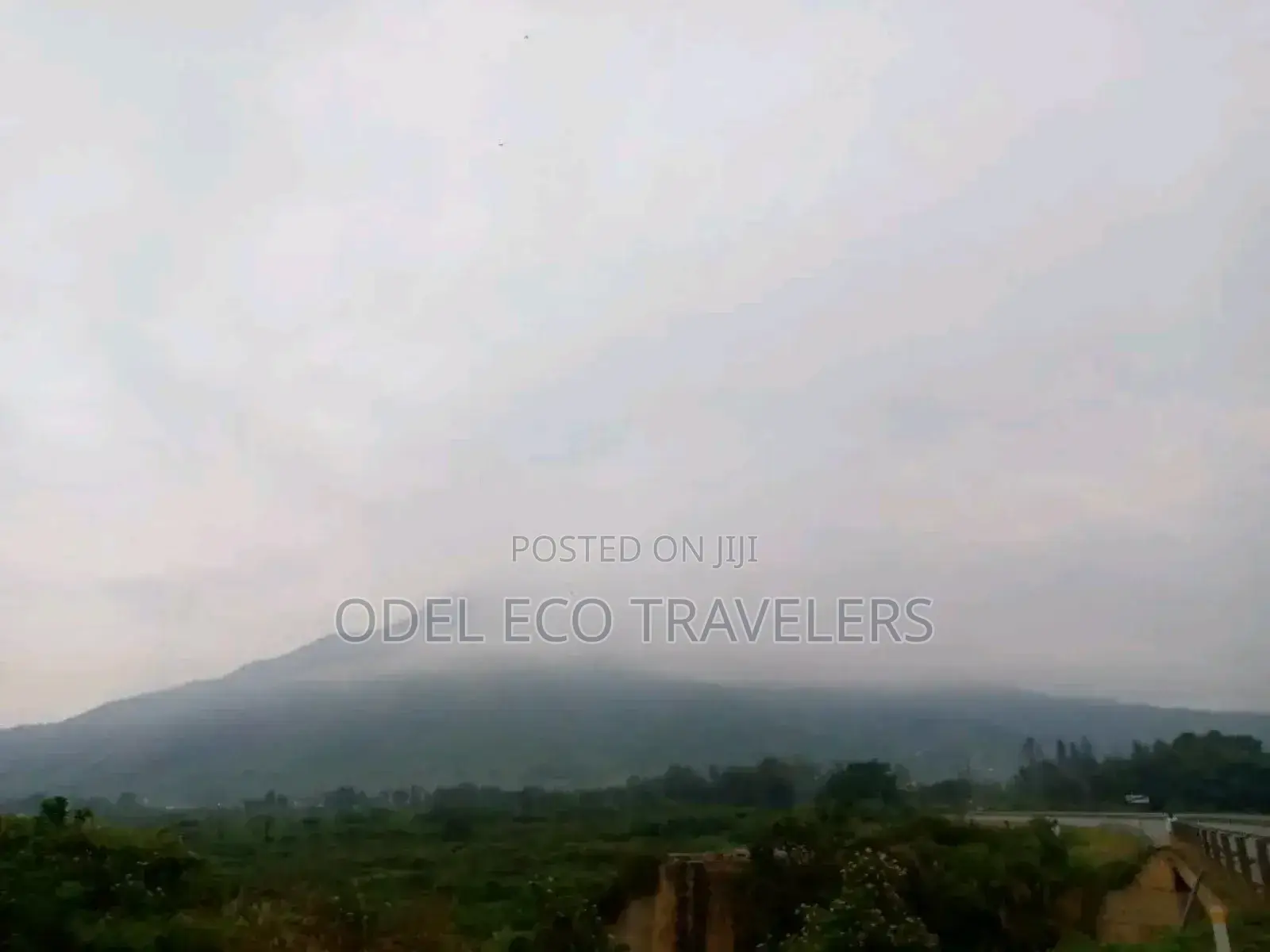 Odel Eco Travelers