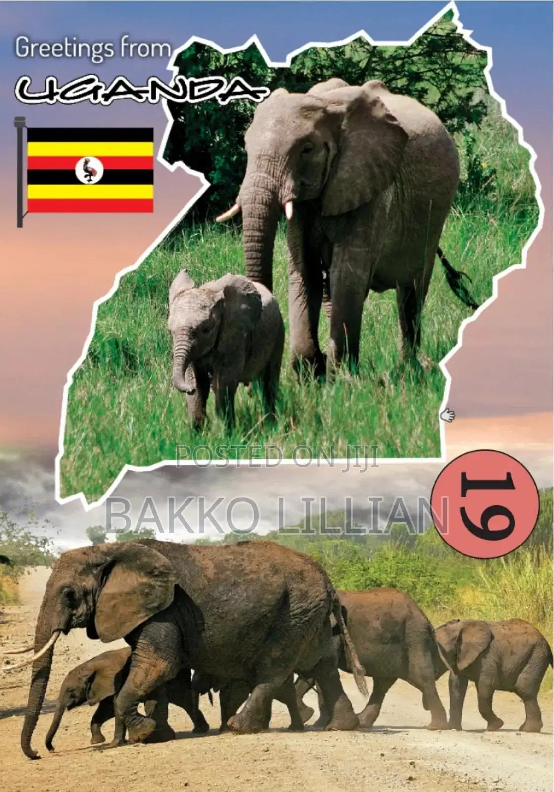 Post Cards Uganda