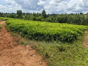 2.5acres of Land on Sale Located in Nyamabuga