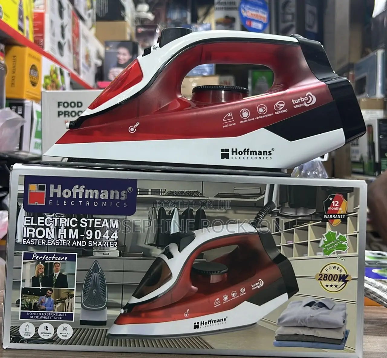 Hoffman Electric Steam Iron