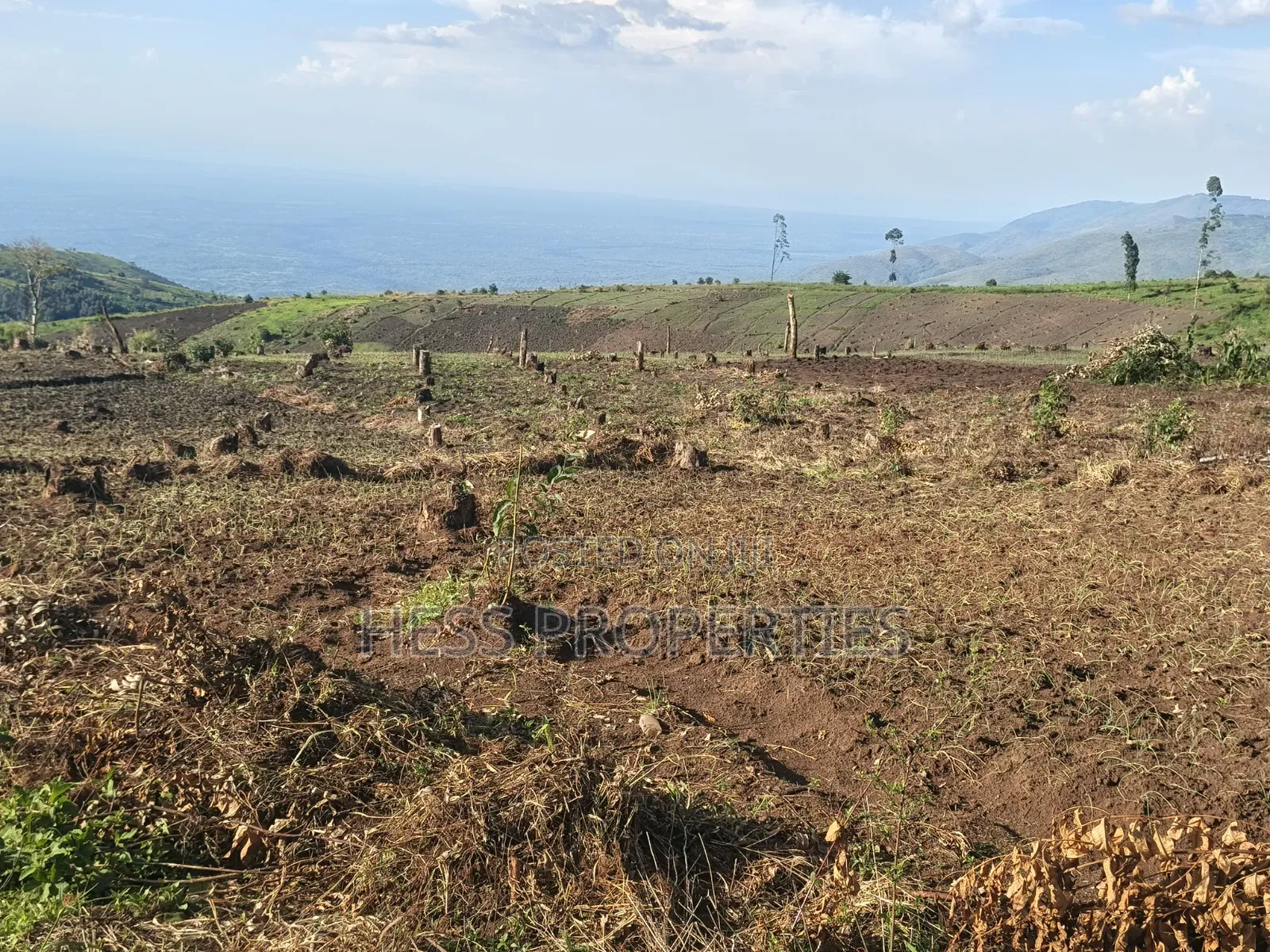 60acres of Land on Sale Located in Kabarole