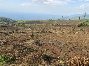 60acres of Land on Sale Located in Kabarole