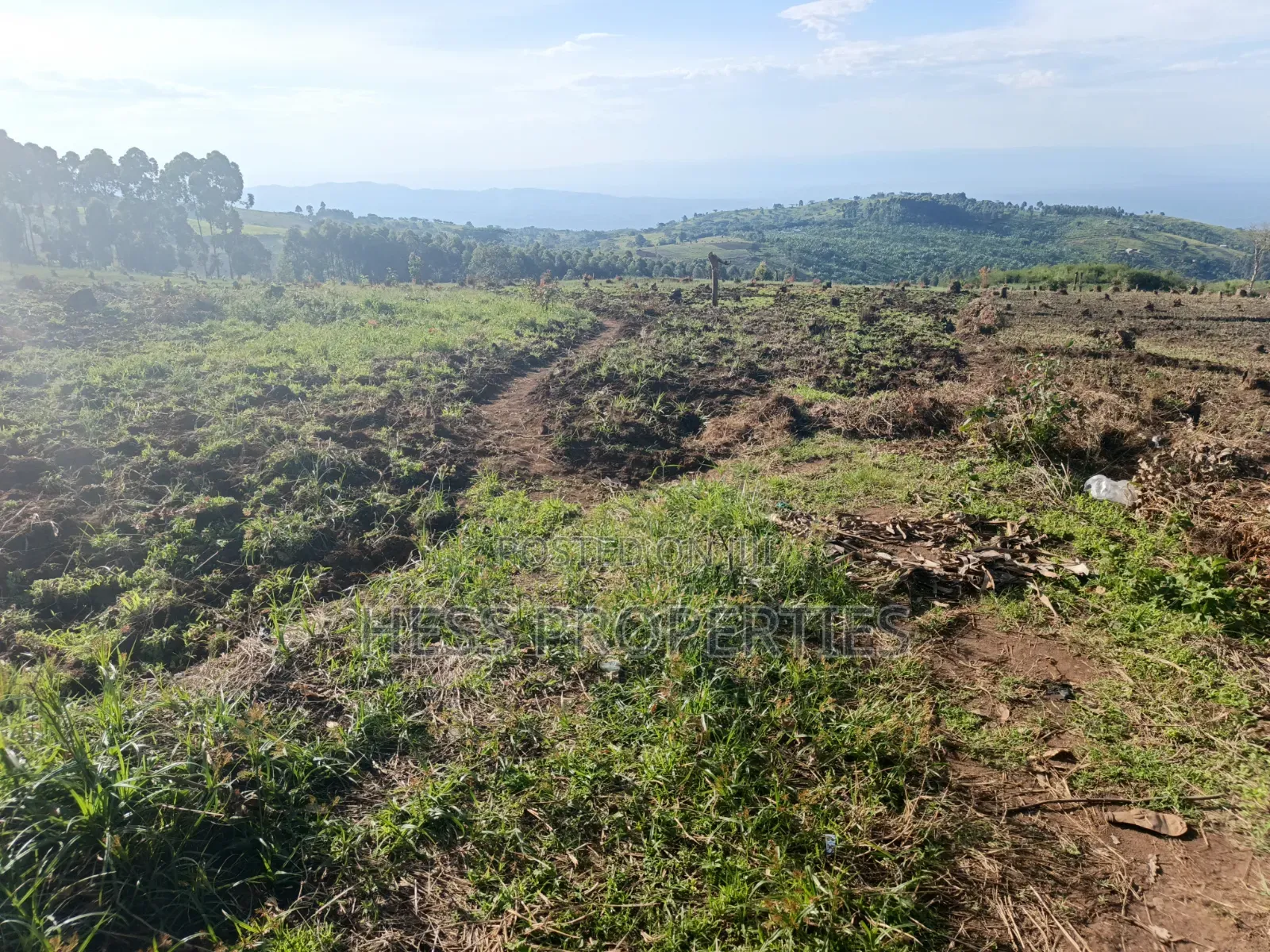 60acres of Land on Sale Located in Kabarole