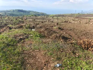 60acres of Land on Sale Located in Kabarole